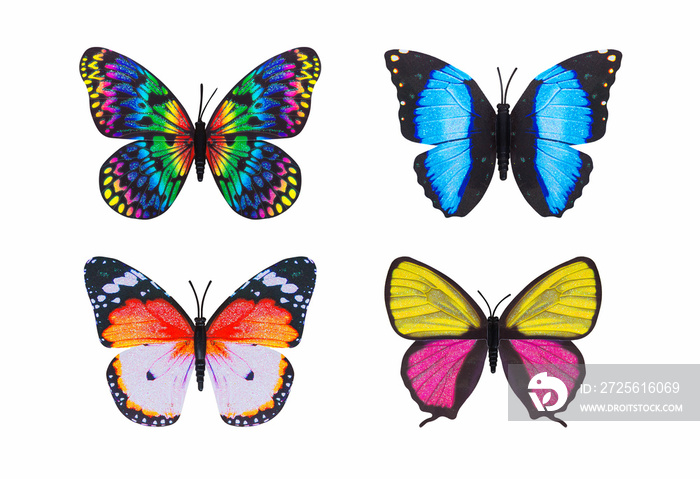 不同的蝴蝶彩色孤立的白色背景。