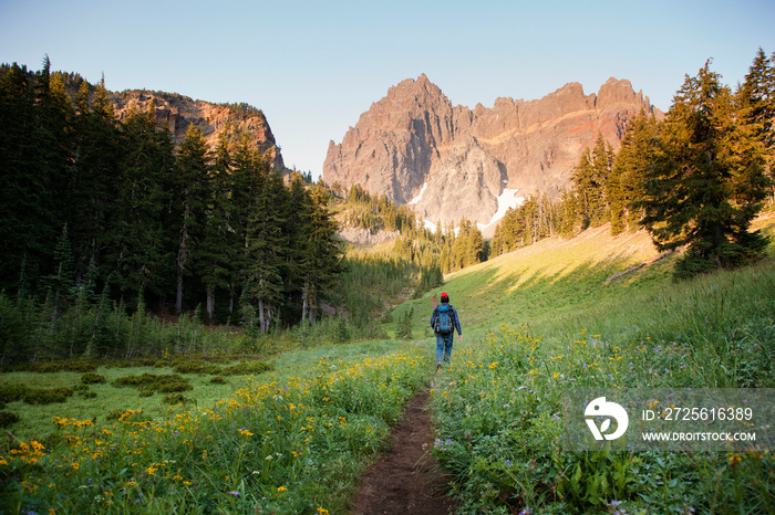 Hiker walking on pathway amidst trees towards mountains