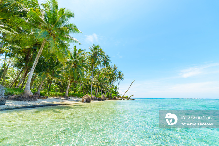 White sand beach with coconut palm trees turquoise blue water coral reef, tropical travel destinatio