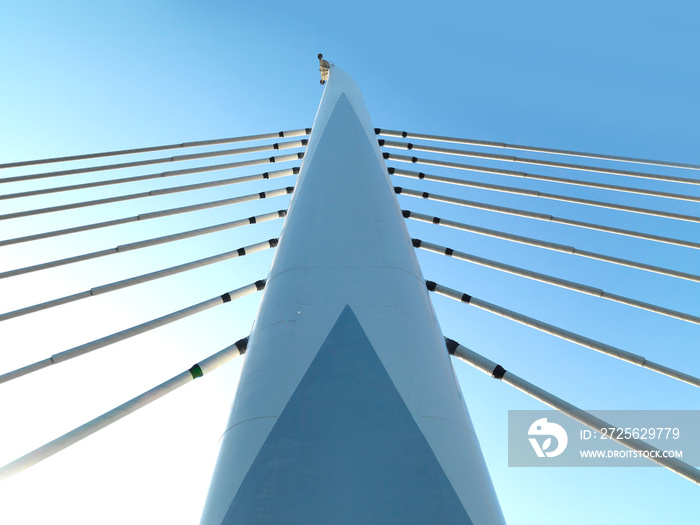 steel ropes of the bridge