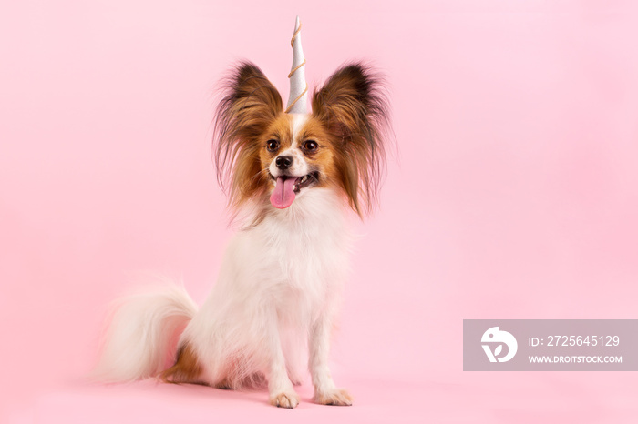 dog with a unicorn horn