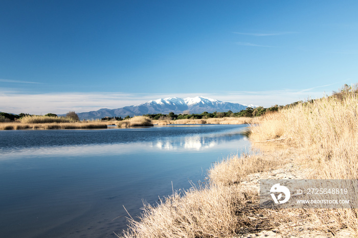 Le Canigou vu depuis Lembouchure de lAgly entre Torreilles et Le Barcarès