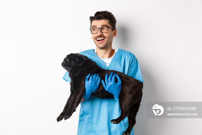 兽医诊所概念。快乐的男医生兽医抱着可爱的黑色哈巴狗，微笑着看着我