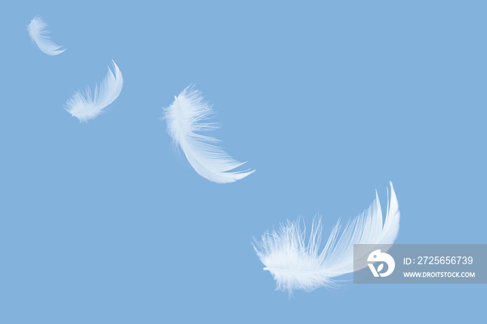 白色羽毛漂浮在空中。