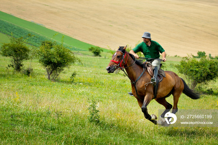 Man riding horse over green hills