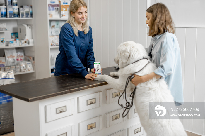 Female owner with big white dog on reception in veterinary clinic choosing medicine and vitamins for