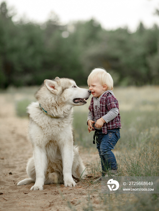 小男孩在森林里散步时，站在一只雪橇狗旁边，面带微笑。