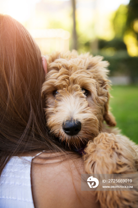 拥抱贵宾犬的女人特写