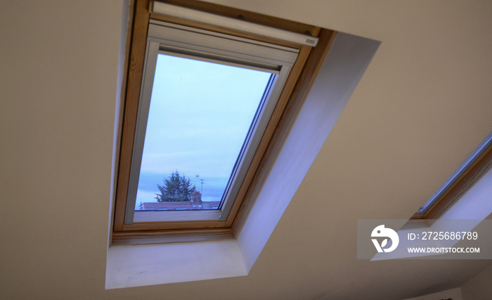 The typical velux-type window