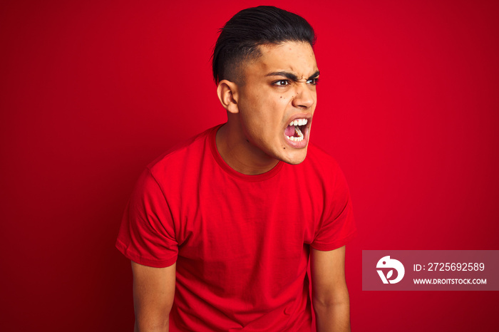 Young brazilian man wearing t-shirt standing over isolated red background angry and mad screaming fr