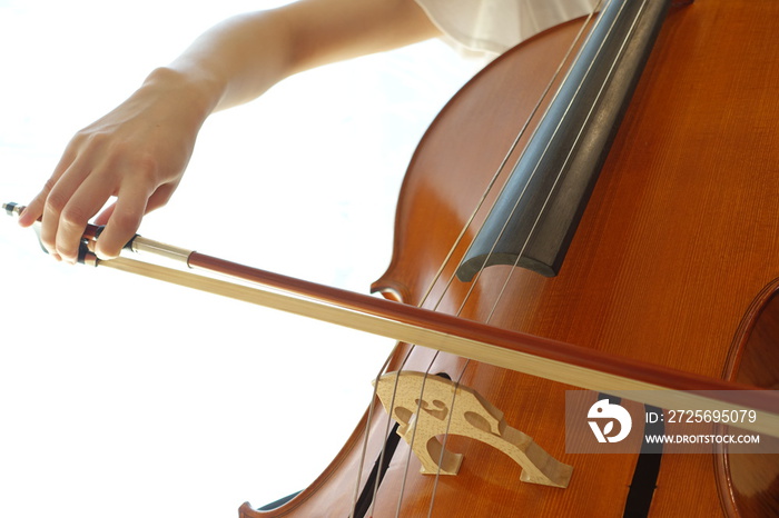 チェロを弾く若い女性　柔らかい光が射す部屋で woman playing the  cello