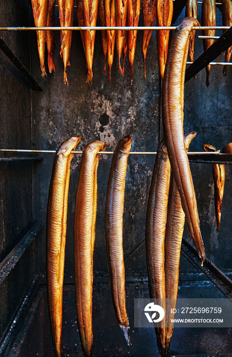 Delicious eel freshly smoked food. Anguilla anguilla.