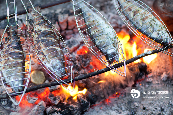 在篝火上烤鱼