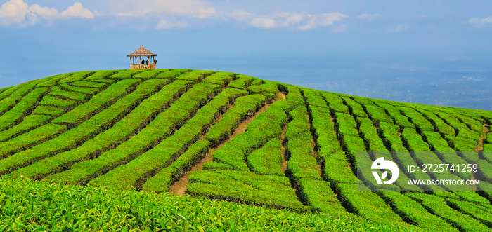 黑色剪影的人在凉亭在山顶与风景。传统高地茶