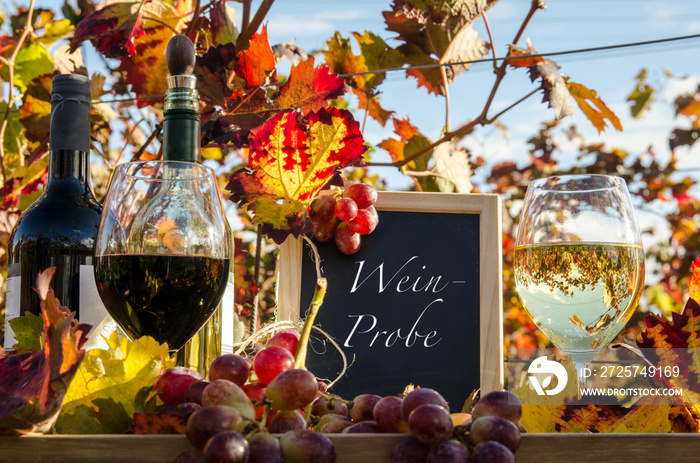 Weinprobe im Herbst