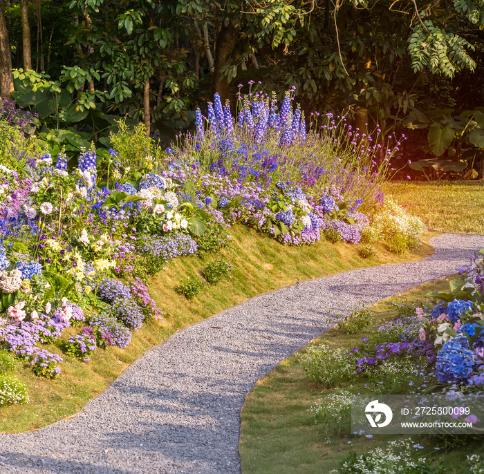 path leading through a flower garden with delphinium high inflorescences violet flowers.