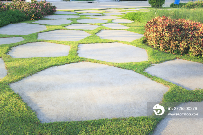 Walkway and bush in garden. Also called concrete pavement, floor, passage, path, footpath, pathway o