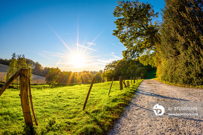 Autumn landscape at sunset with a path beside a meadow