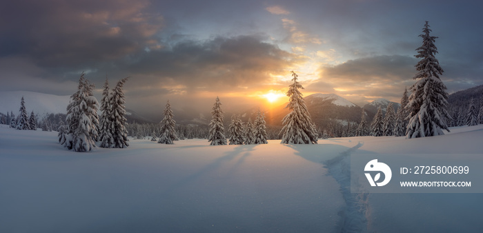 夜晚阳光照耀下的雪山中令人惊叹的冬季景观全景。戏剧性的冬季