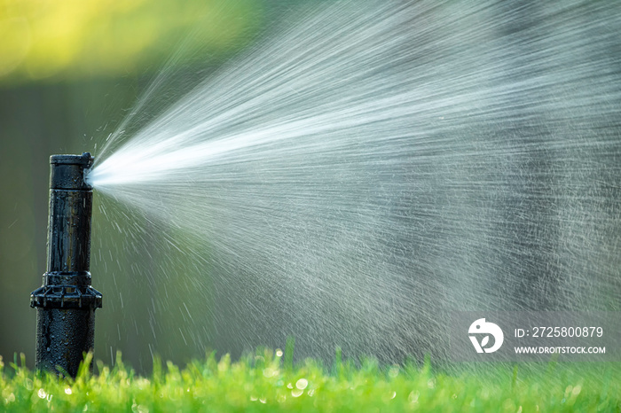自动浇水系统的旋转喷嘴为多汁的年轻绿色草坪草浇水。Selectiv