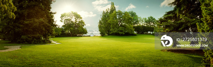 Beautiful panorama of green city park