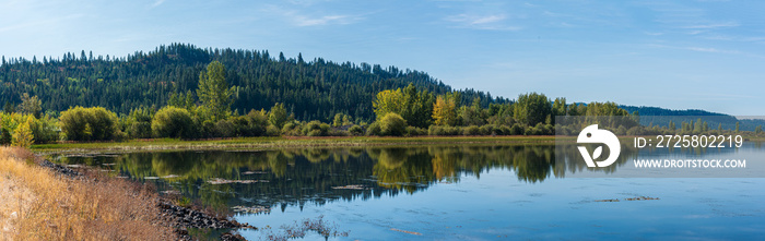 Panorama of the Reflections of Fall Color in the Still Waters of Harrison Slough on Lake Coeur d’Ale