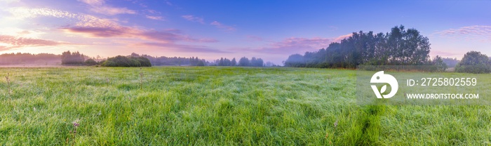 Calm and tranquil place with untouched wild meadow at sunrise