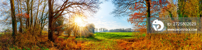 Panorama einer Landschaft im Herbst mit Wald, Wiese und Sonne