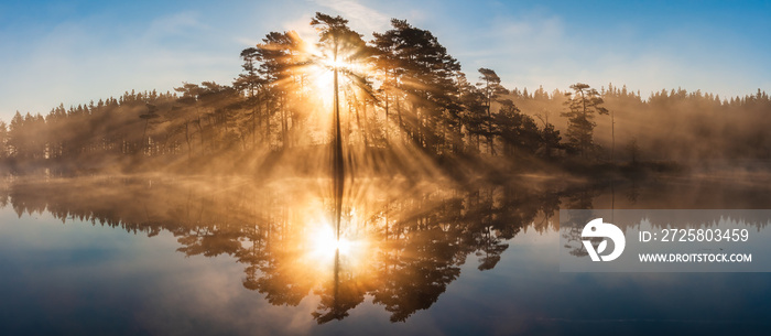 令人惊叹的日出穿过树木，映照在静止的湖面上
