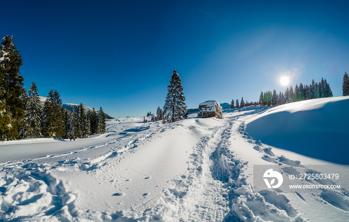 Passo coe Inverno trentino folgaria alpe cimbra ,