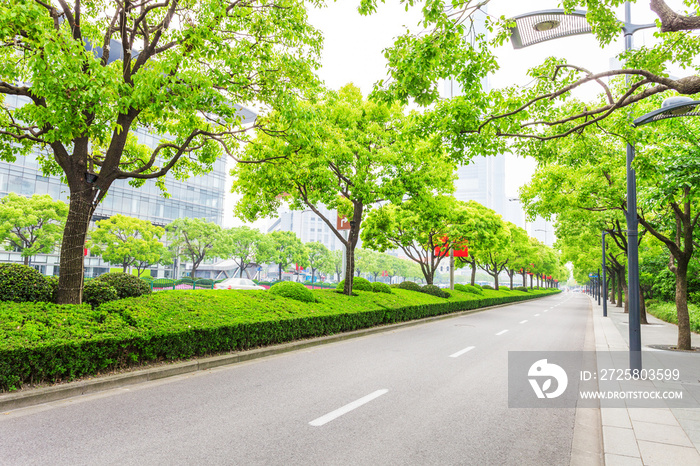 现代城市中绿树成荫的道路