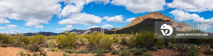 Tucson Mountain Park