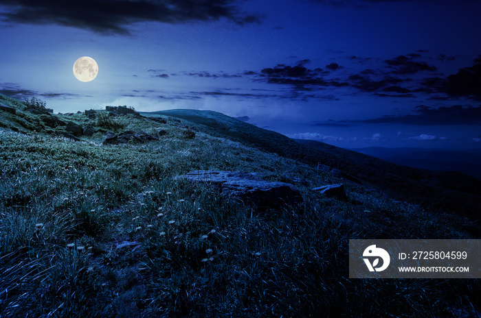 夜晚山上长满草的山坡上的岩石