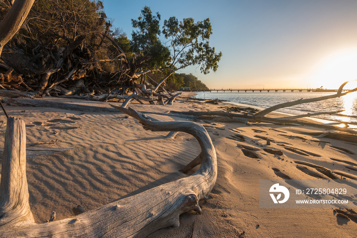 kingfisher bay in australia - fraser island