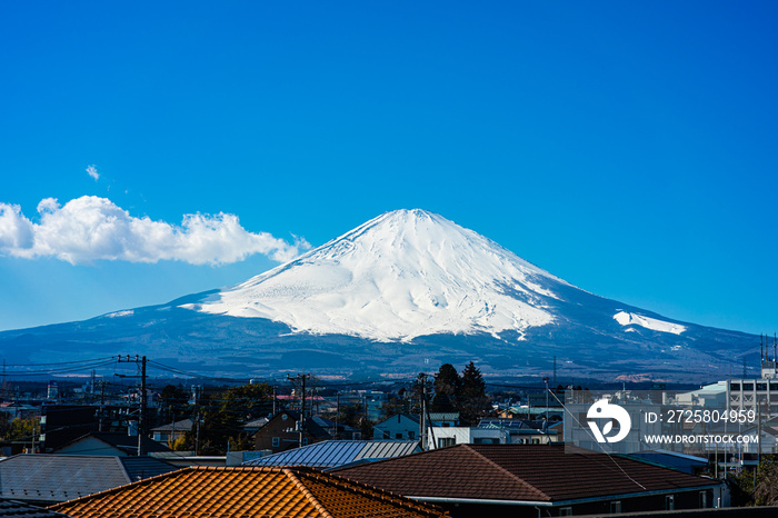 富士山