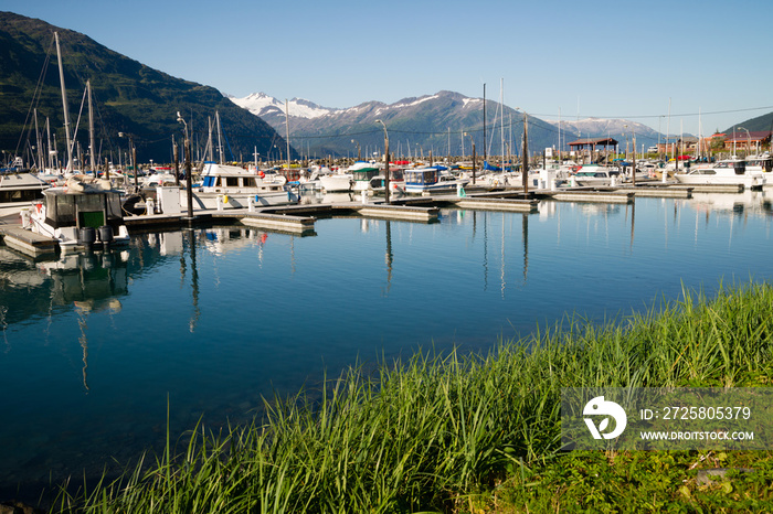 Motorboats Yachts  Sailboats Port Harbor Marina Whittier Alaska