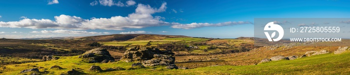 Haytor Rocks，Dartmoor Park，德文郡，英国，欧洲