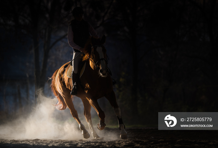 Young girl riding a horse