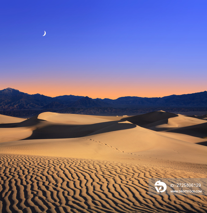 《月亮与沙丘》