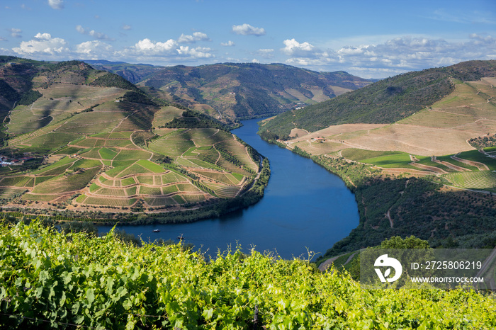 Douro Valley landscape