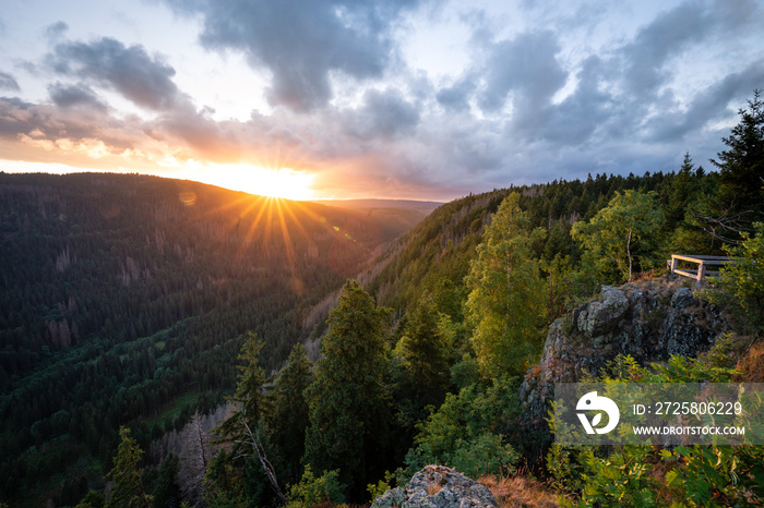 Sonnenaufgang und leuchtende Wälder