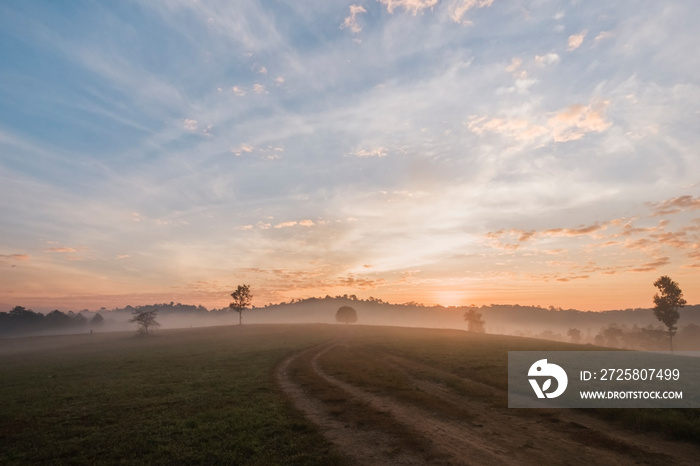 morning time view of Thung Khamang, Phu Khiao Wildlife Sanctuary, Chaiyaphum province, Thailand