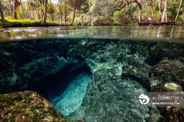 Beautiful view of an underwater cave formation. Taken in 7 Sisters Springs, Chassahowitzka River, Fl
