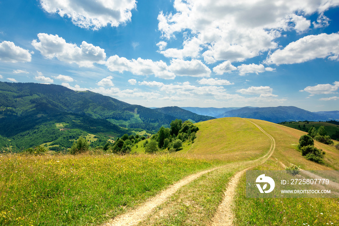 穿过山区草地的小路。阳光明媚的喀尔巴阡山乡村夏季景观。白色蓬松