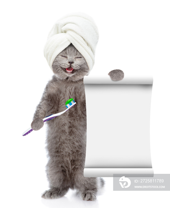 Funny kitten with towel on it head holds toothbrush with toothpaste and empty list. isolated on whit