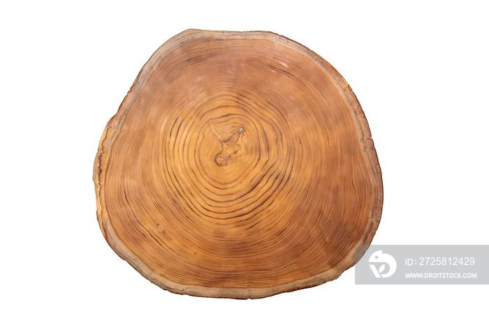 Large circular piece of wood cross section with tree ring texture pattern isolated on white backgrou