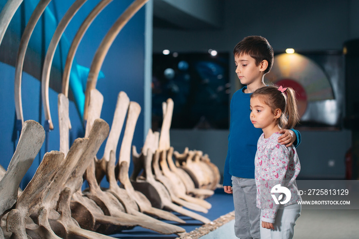 孩子们在古生物博物馆里看着一具古代鲸鱼的骨架。