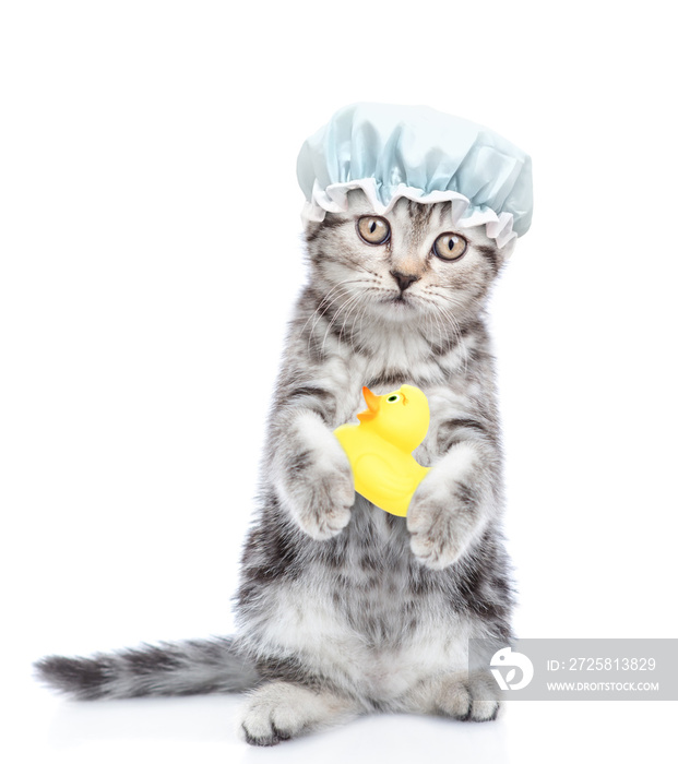 Funny kitten with shower cap holding rubber duck. isolated on white background