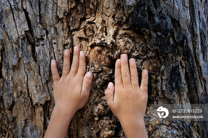 放在一棵大树的树干上，伸出手指，象征着人类之间的联系