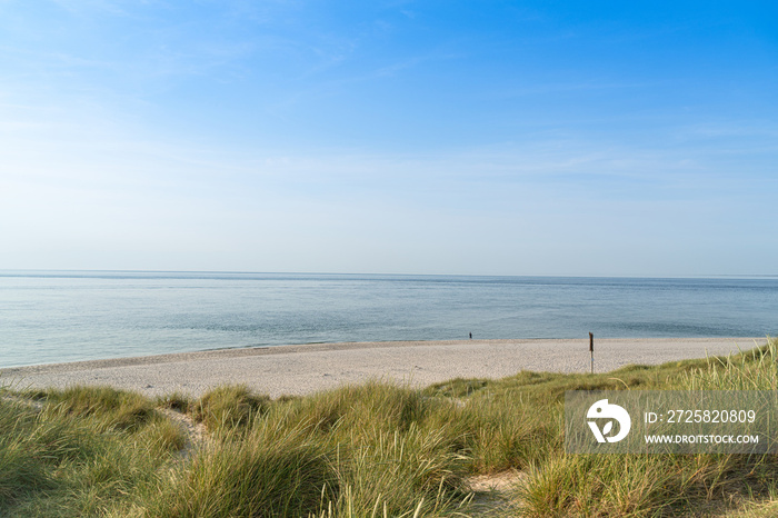 Dune with beach grass.